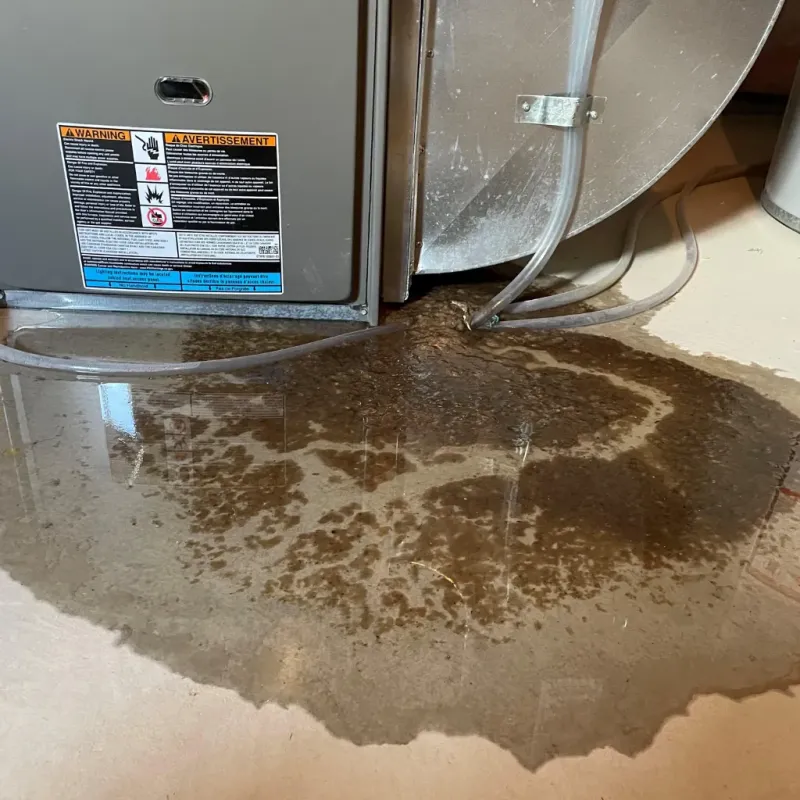 Appliance Leak Cleanup in Minnehaha County, SD